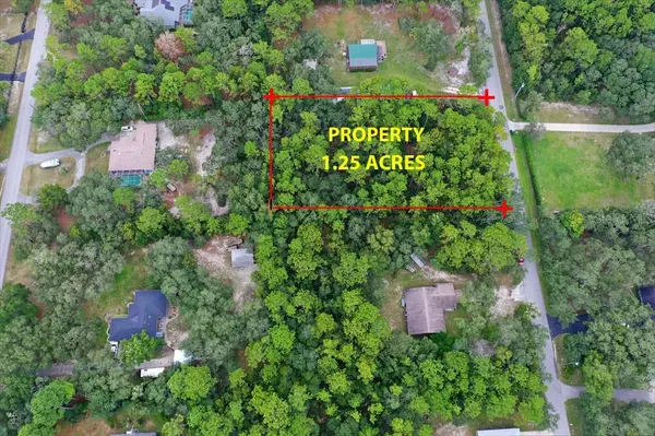 2659 S BOLTON AVE, Homosassa, FL 34448