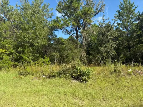 79TH TERRACE RD, Dunnellon, FL 34432
