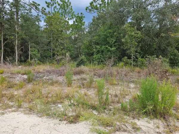 0000 NE 67TH ST, Bronson, FL 32621