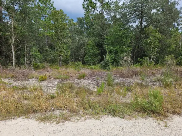 0000 NE 67TH ST, Bronson, FL 32621