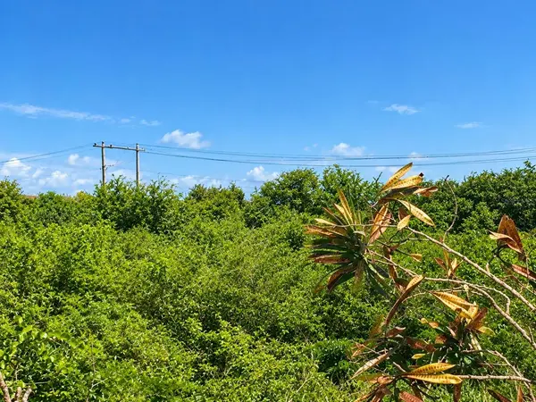 LOT 4 PR 753 KM 0.4 ANCONES WARD, Arroyo, PR 00714