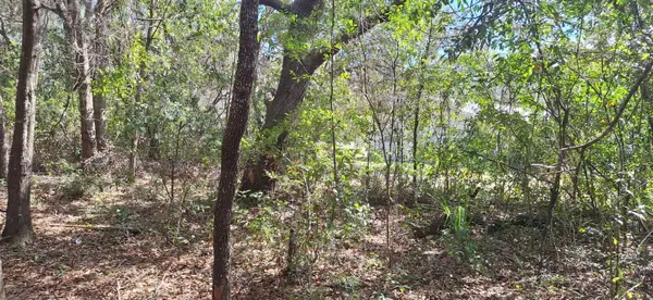 6600 N PAGODA TREE TER, Hernando, FL 34442
