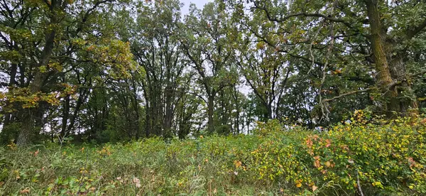 tbd County Highway 127, Ottertail, MN 56571