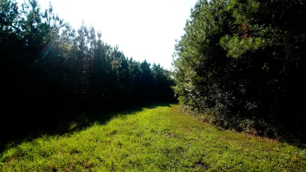 1 Ables Road, Cherokee, AL 35616
