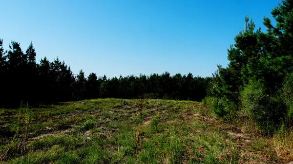 2 Ables Road, Cherokee, AL 35616