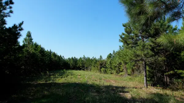 2 Ables Road, Cherokee, AL 35616