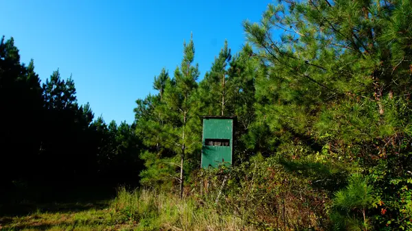 3 Ables Road, Cherokee, AL 35616