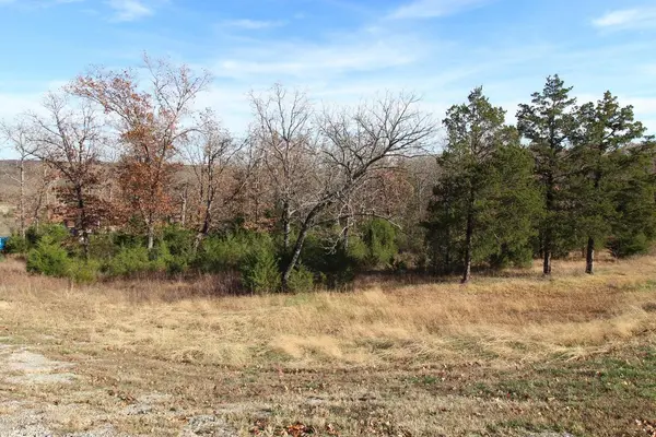 199 Forest Lake DR, Branson West, MO 65737