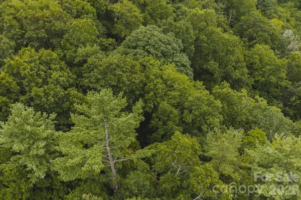 0 Rebel RUN, Marion, NC 28752