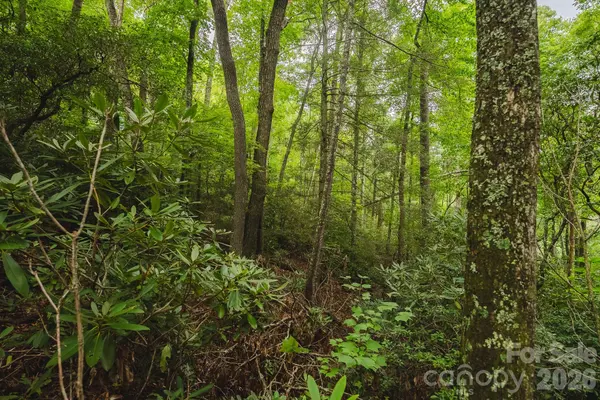 TBD Yankee RUN, Marion, NC 28752