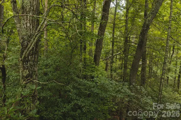 TBD Yankee RUN, Marion, NC 28752