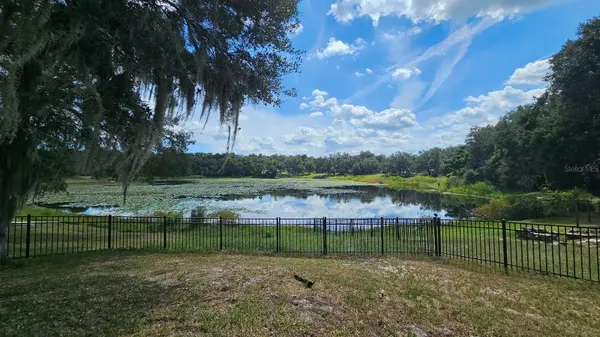 36236 MARY ELLEN ST, Fruitland Park, FL 34731