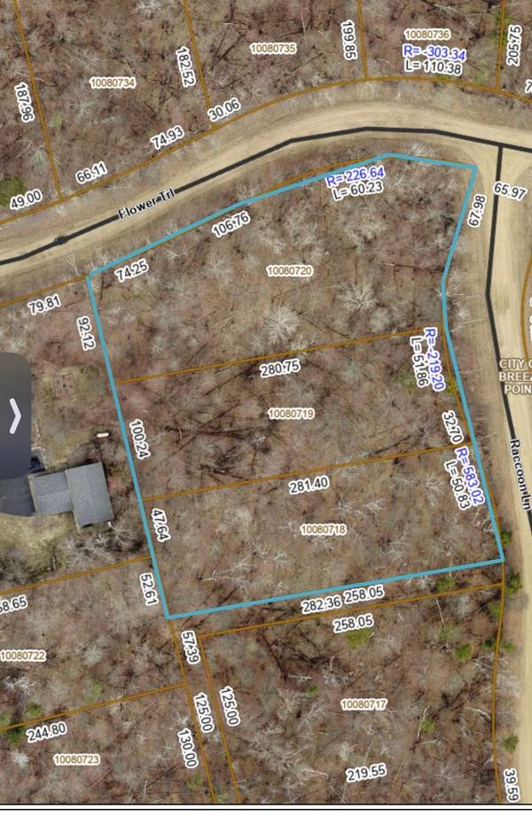 TBD Raccoon and Flower Trail, Breezy Point, MN 56472