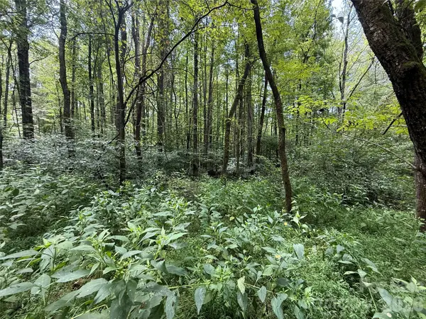 14.57 New Salem DR, Statesville, NC 28625