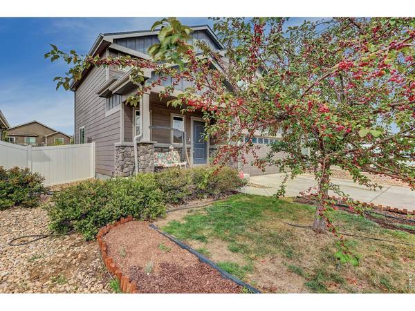 1832 Ruddlesway, Windsor, CO 80550