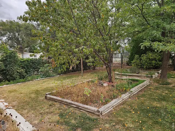 227 Balsam, Log Lane Village, CO 80705