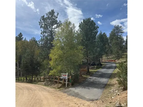 611 Impala, Bailey, CO 80421
