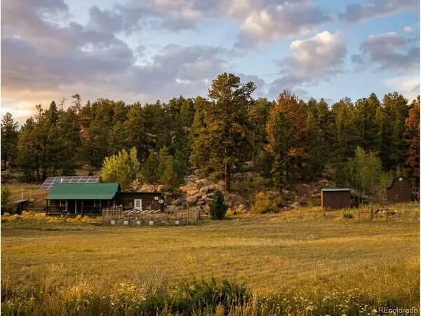 185 Canyon, Florissant, CO 80816