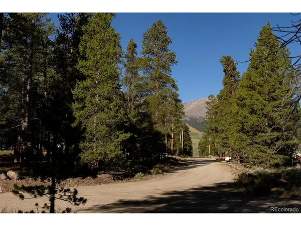 454 Spruce, Leadville, CO 80461