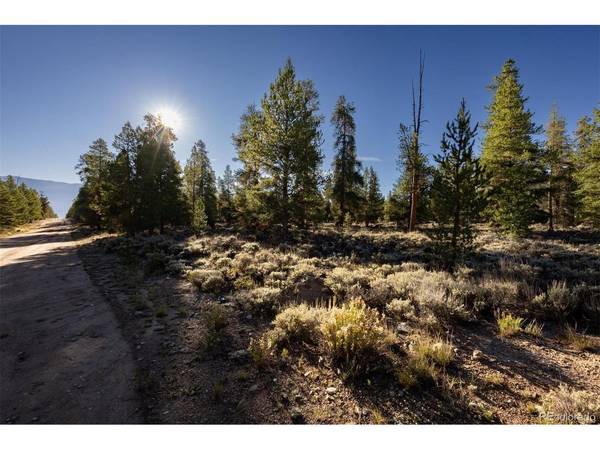 454 Spruce, Leadville, CO 80461