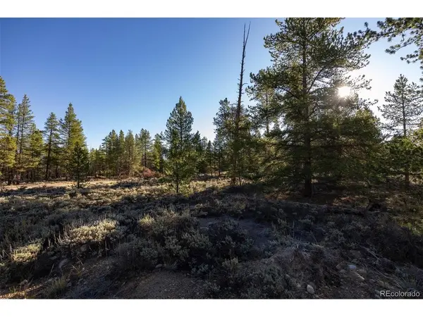 454 Spruce, Leadville, CO 80461