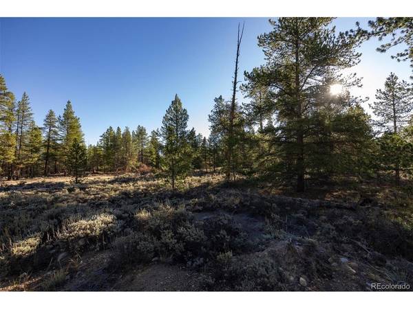 454 Spruce, Leadville, CO 80461