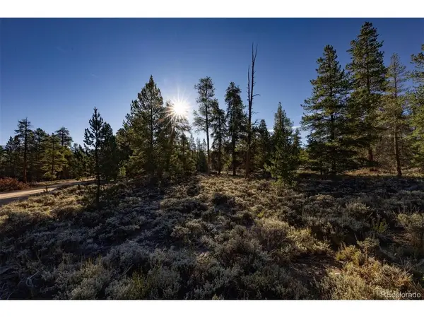 454 Spruce, Leadville, CO 80461