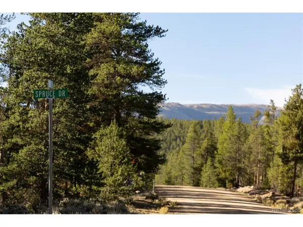 454 Spruce, Leadville, CO 80461