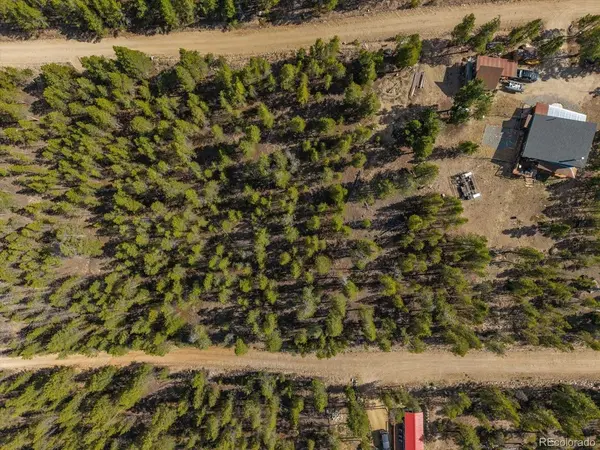 198 Lodgepole, Twin Lakes, CO 81251