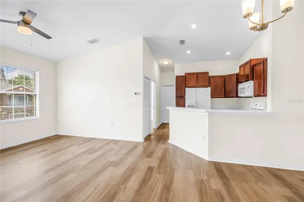 9006 MOONLIT MEADOWS LOOP, Riverview, FL 33578