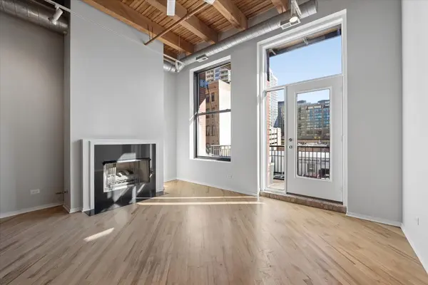 616 W FULTON ST #213, Chicago, IL 60661