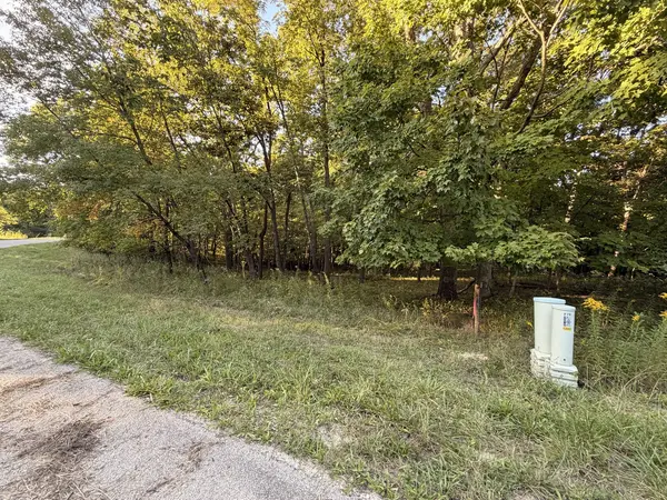 Lot 55 Eagle Chase DR, Seneca, IL 61360