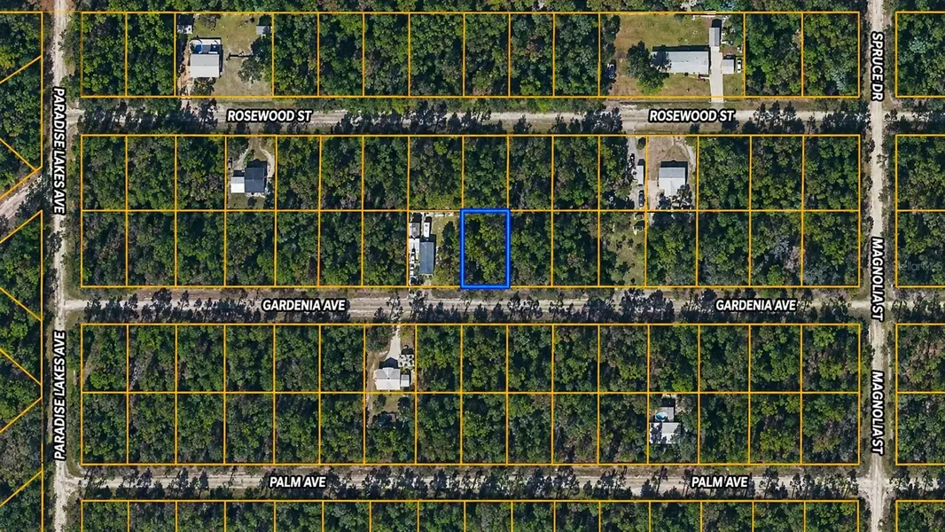 120 GARDENIA AVE, Georgetown, FL 32139