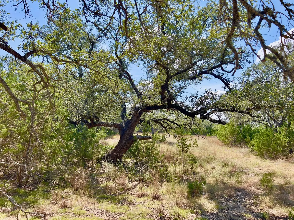992 Hines Branch RD, Blanco, TX 78606