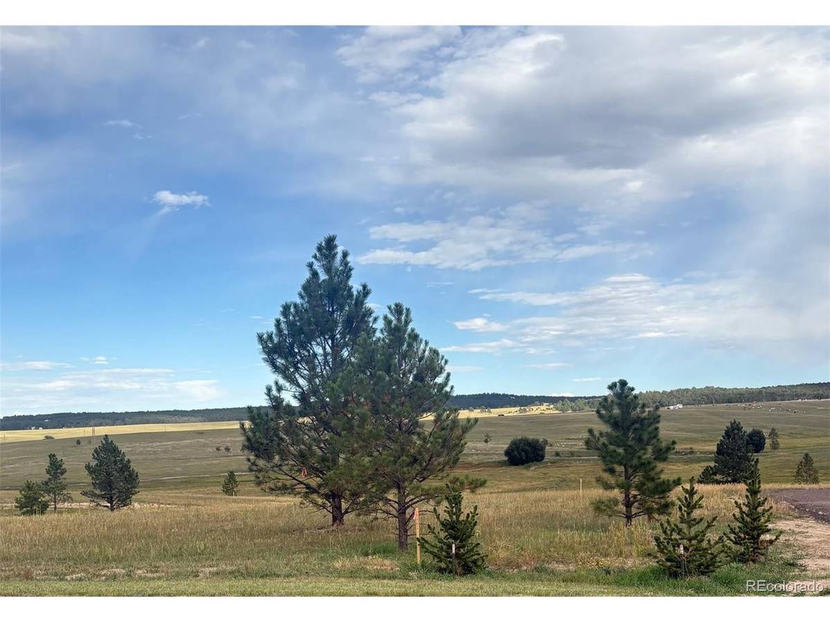 18835 Cherry Springs Ranch, Monument, CO 80132