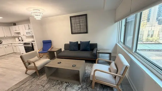 211 E OHIO ST #1114, Chicago, IL 60611