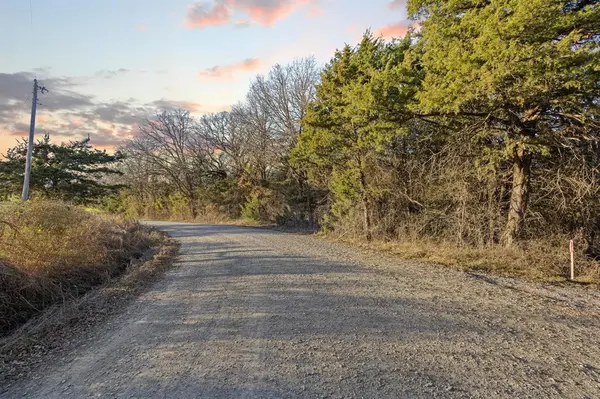 TBD County Road 4618, Wolfe City, TX 75496