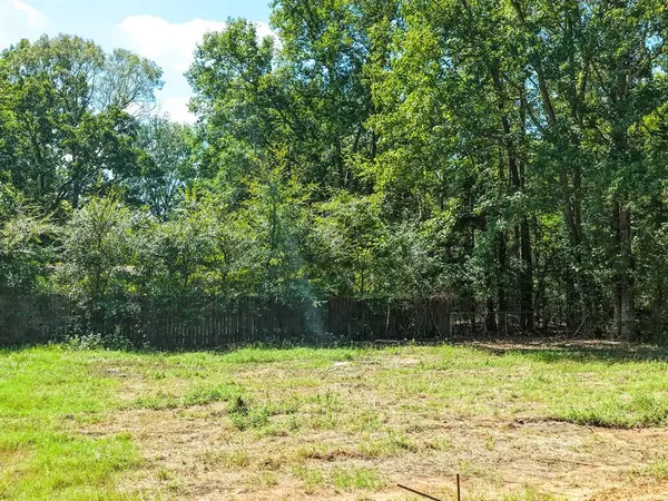 824 Balmorea Drive, Bullard, TX 75757