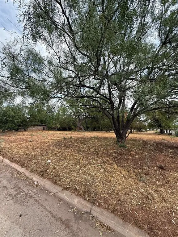 2332 N 3rd Street, Abilene, TX 79603
