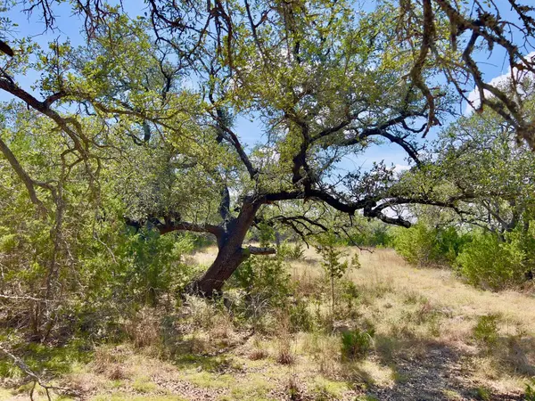 992 Hines Branch RD, Blanco, TX 78606