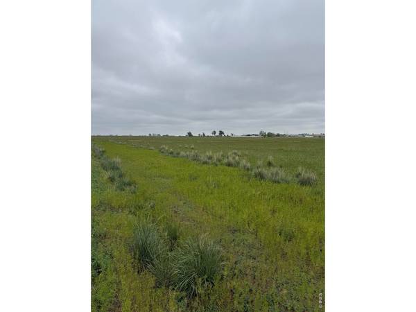 1 CR 74, Galeton, CO 80622