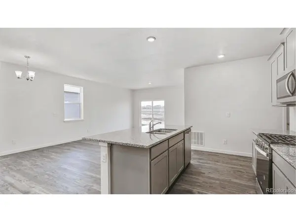 394 N Allium, Watkins, CO 80137