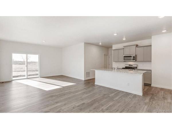 394 N Allium, Watkins, CO 80137