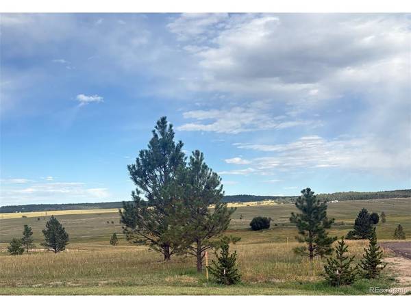 18835 Cherry Springs Ranch, Monument, CO 80132