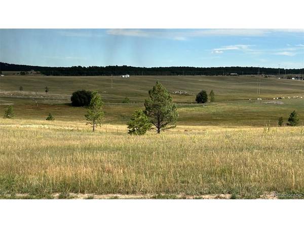 18835 Cherry Springs Ranch, Monument, CO 80132