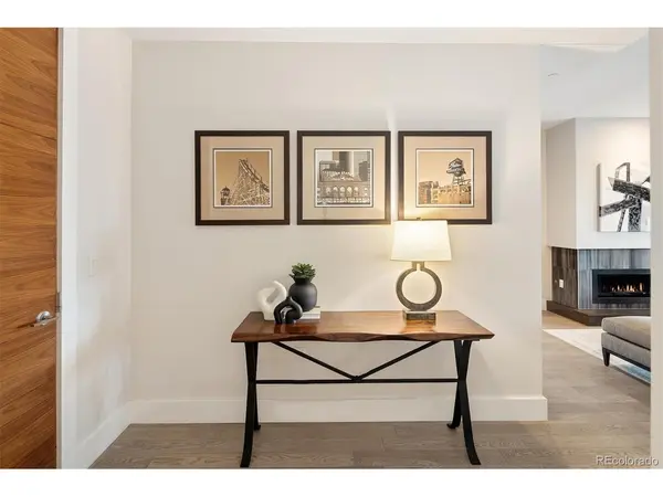 155 Steele #319, Denver, CO 80206
