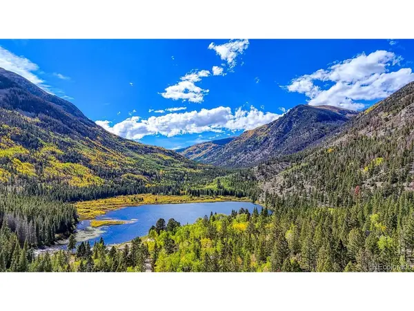 22680 County Road 292, Nathrop, CO 81236