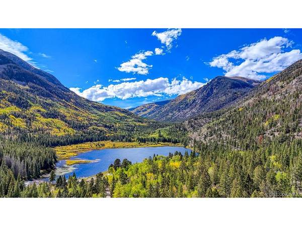 22680 County Road 292, Nathrop, CO 81236