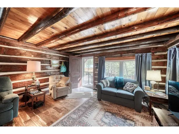22680 County Road 292, Nathrop, CO 81236