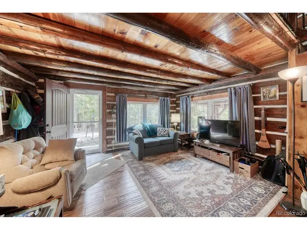 22680 County Road 292, Nathrop, CO 81236